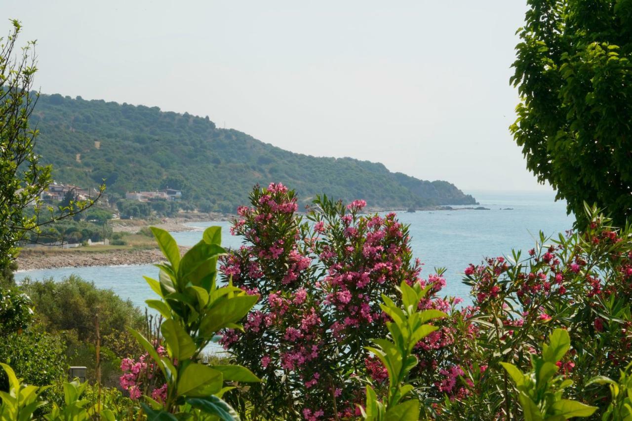 Secret Paradise Villas Loutra Elevtheron 外观 照片